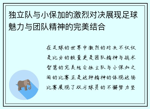 独立队与小保加的激烈对决展现足球魅力与团队精神的完美结合
