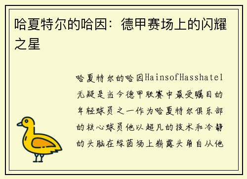 哈夏特尔的哈因：德甲赛场上的闪耀之星