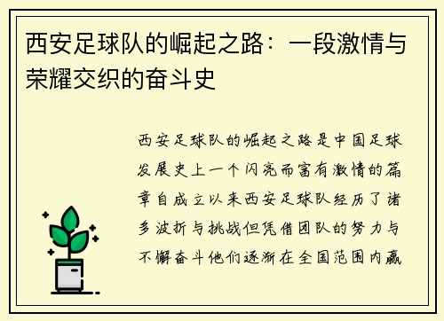 西安足球队的崛起之路：一段激情与荣耀交织的奋斗史