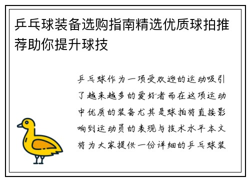 乒乓球装备选购指南精选优质球拍推荐助你提升球技