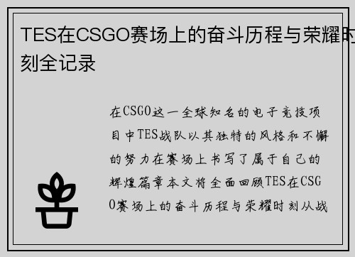 TES在CSGO赛场上的奋斗历程与荣耀时刻全记录